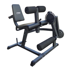 Leg Extension/Leg Curl Machine